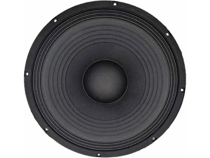 Seven Soundvector SVG15-HE 4Ohm Woofer 15 Pulgadas Altavoz Profesional de Grave Medio-Grave 4 Ohm 400W AES 800W Programa Precio Económico