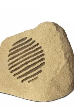 Compra Hoy WORK Pro MR 110 S LINE Altavoz mimetizado en forma de piedra