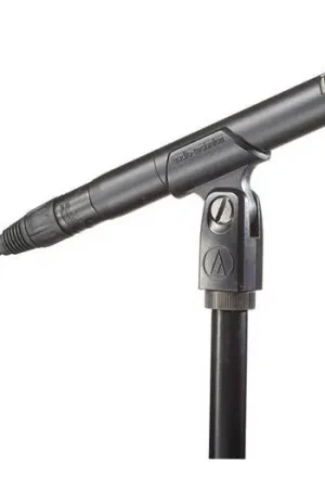 Audio-Technica AT2031 Oferta Limitada