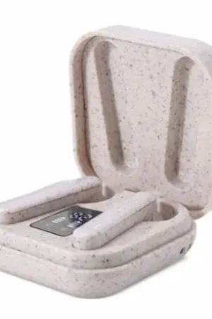 Certificado Auricular carga solar atrio