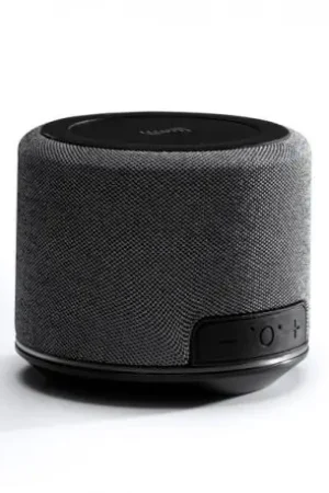 Altavoz inalámbrico ecológico TENOR Económico