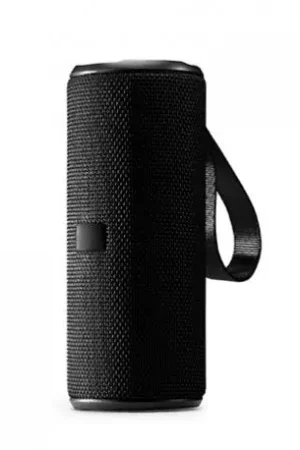 Liquidación Altavoz inalámbrico 10W UMEK