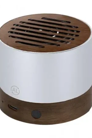 Precio Económico Altavoz Kolin