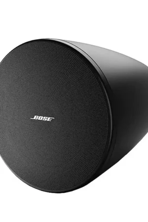 Barato BOSE DM10P-SUB NEGRO