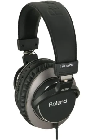 Económico ROLAND RH-300