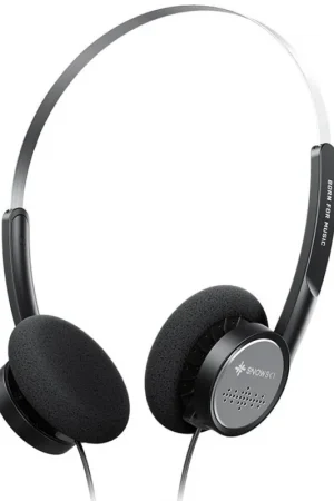 Alta Calidad FIIO SNOWSKY WIND