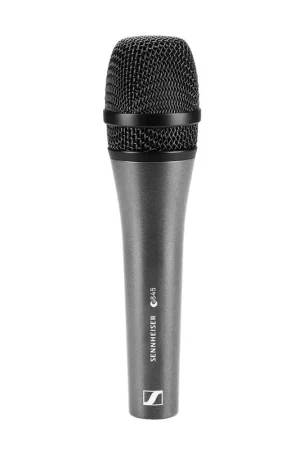 Precio Rebajado SENNHEISER e 845