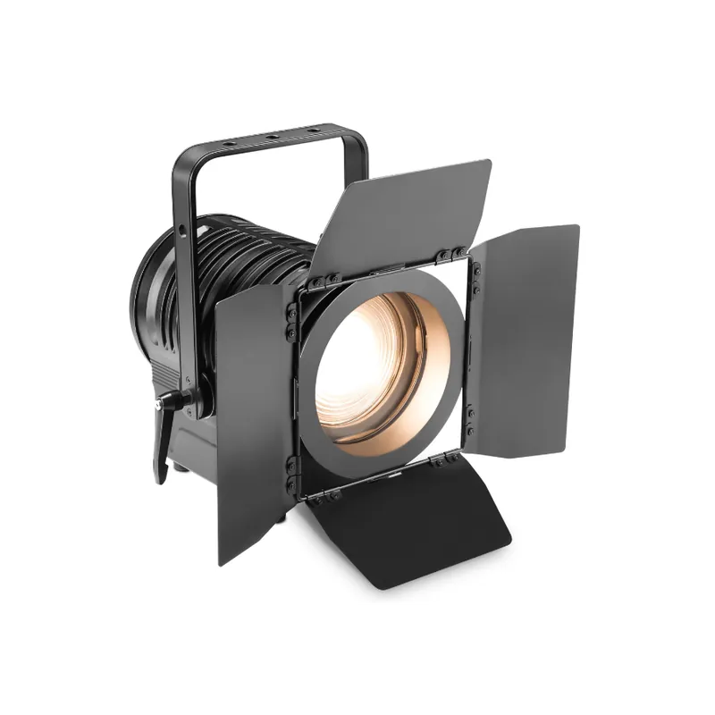 Pago Seguro CAMEO TS 100 WW