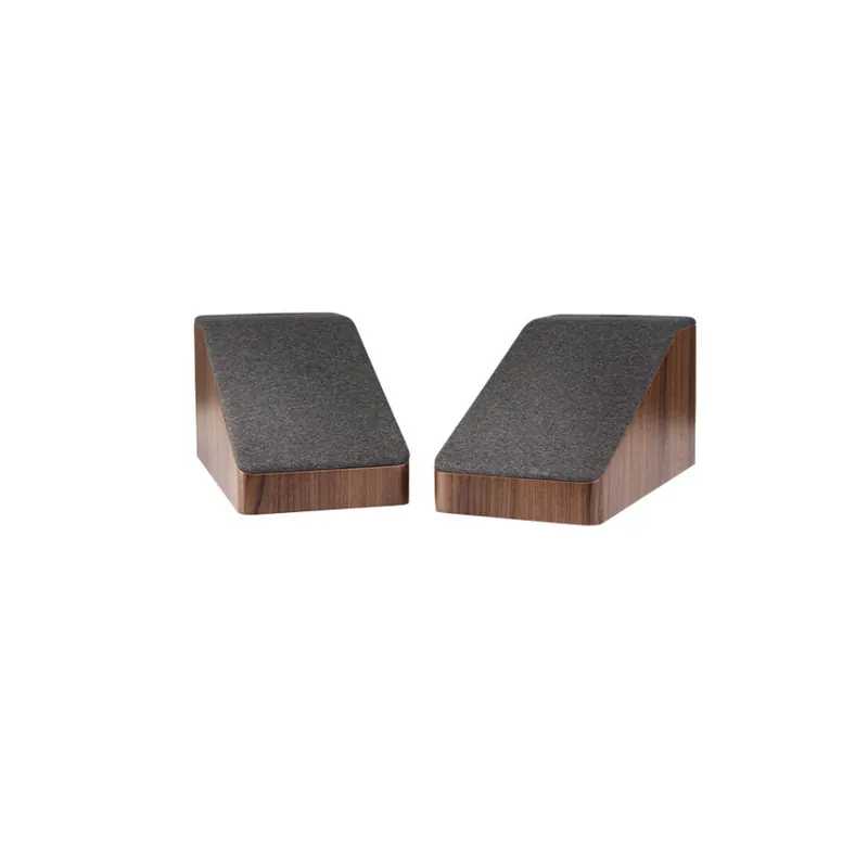 Solo Hoy POLK AUDIO RESERVE R-900 BR