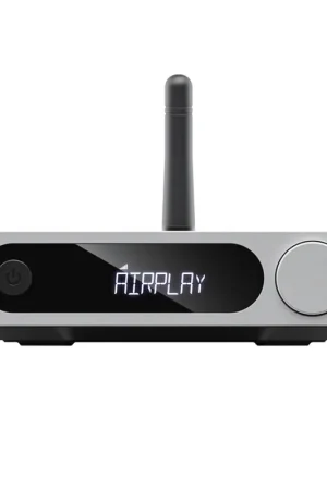 FIIO SR11 PLATA Popular