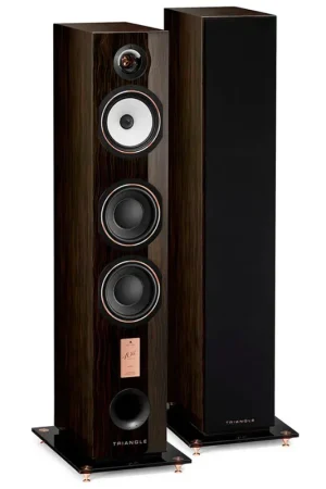 TRIANGLE ANTAL 40TH ANNIVERSARY No Te Lo Pierdas