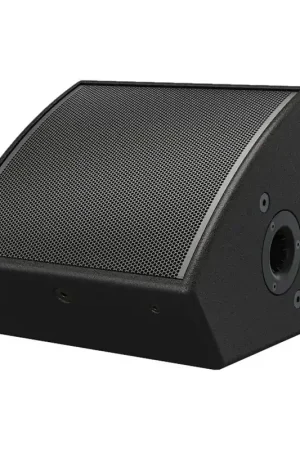 Imprescindible (Must-Have) Bose AMM112 Monitor de escenario