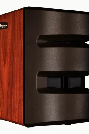 LR Baggs Synapse Solo Hoy