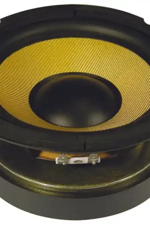 Entrega Rápida FENTON Woofer de 20cm con cono Kevlar 250Wrms