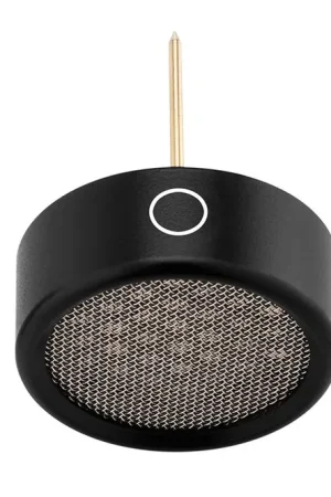 Warm Audio WA84-Ocap-B Omindireccional Wa84 Negro Envío Exprés