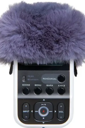 Últimas Unidades Roland R07-WS Pantalla antiviento