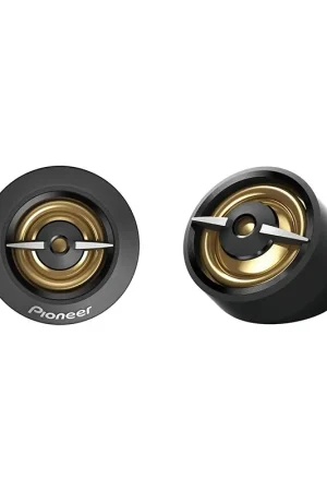 Pioneer - TS-A301TW Oferta De Temporada