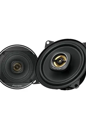 Económico Pioneer - TS-A1081F